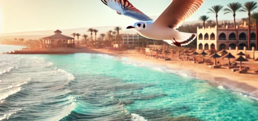 Kelionė į Seagull Hurghada: unikali patirtis Raudonosios jūros pakrantėje
