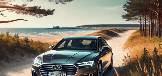 Kas yra autobilis.lt