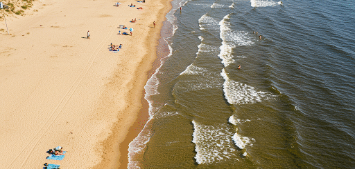 Palangos Žuvėdra: Daugiau Nei Tik Paukštis Ar Skulptūra