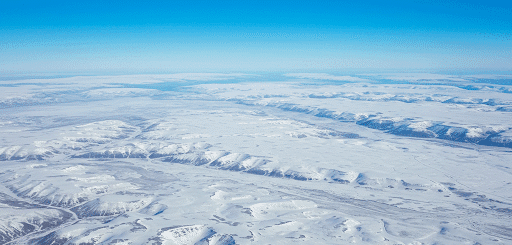 Tundra: Ledo Karalystės Širdis – Atšiauri, Bet Gyvybinga Pasaulio Ekosistema